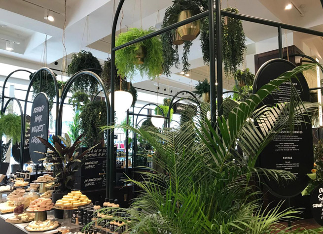 retail interior decorated with artificial plants