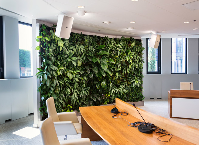 wall of artificial plants as office room divider