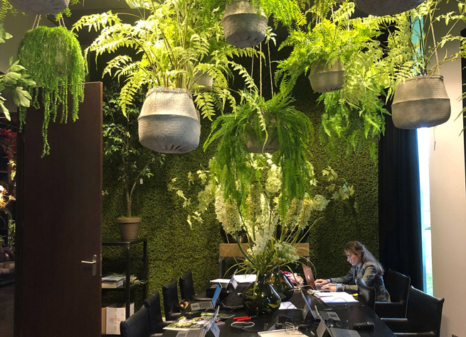 workspace design with artificial plants
